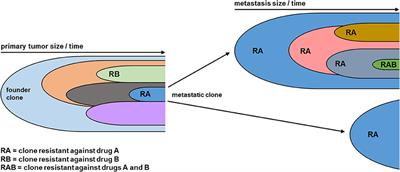 The Potential of Tumor Debulking to Support Molecular Targeted Therapies